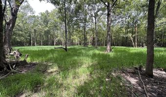 Gun Baoyu Road, Belzoni, MS 39038