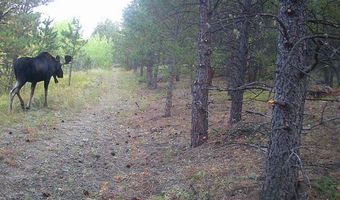 County Road 59, Allenspark, CO 80510