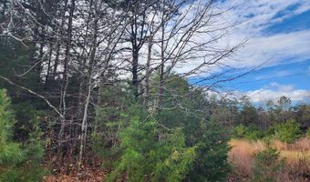 Wildway Rd, Appomattox, VA 24522