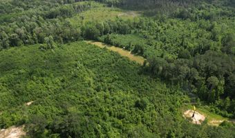 Co Rd 2337, Bay Springs, MS 39422