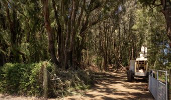 WAIOLU PL, Hawi, HI 96719
