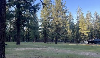 4300 Meadow Wood Rd, Carson City, NV 89703
