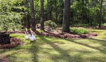 9466 Clarks Mill Rd, Avera, GA 30803