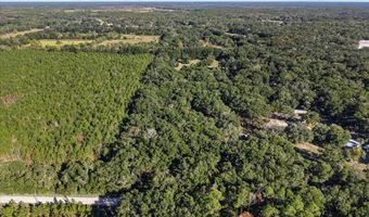 912 22nd Ct, Bell, FL 32619