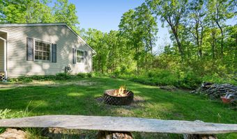 9707 Rogers Rd, Alanson, MI 49706