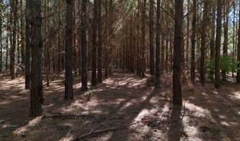 01 Goose Platter Rd, Batesburg, SC 29006