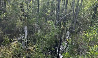 187 Ac Old River Rd, Baker, FL 32531