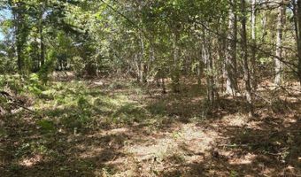 2862 Wallace Dr, Bogue Chitto, MS 39629