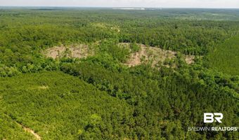 Joe Hall Road, Bay Minette, AL 36507