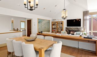 509 W Hopkins Ave, Aspen, CO 81611