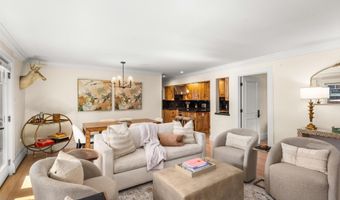 747 S Galena St 230 & 330, Aspen, CO 81611