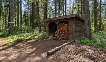 55482 DELTA Rd, Blue River, OR 97413