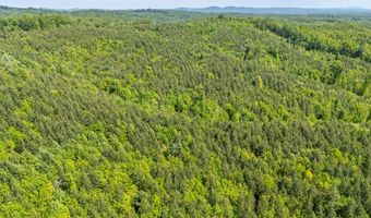 Ahart Ridge Rd lot 58 60 61, Ararat, VA 24053