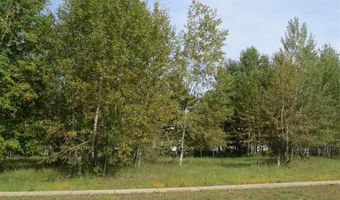 28 Mulberry Ln, Babbitt, MN 55706