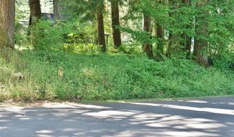 9965 BEACH Dr, Birkenfeld, OR 97016