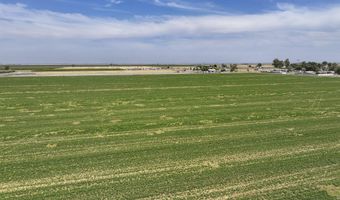 Road 38, Alpaugh, CA 93201