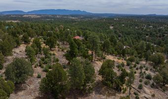 PN TBD BACHE ST & MESITA DR, Alto, NM 88312
