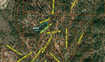 13 Pelican Pl Lot 6, Cascade, ID 83611