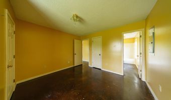 1237 AR Hwy 354, Ash Flat, AR 72513