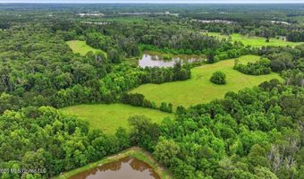 Vine Drive, Brandon, MS 39047