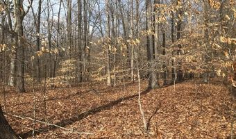 Devon Way Road, Baneberry, TN 37890