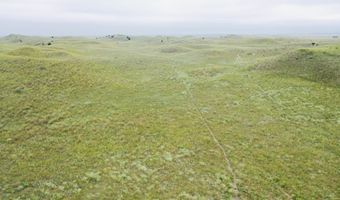 755 90 +/- Acres, Arnold, NE 69120