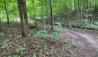 14900 Woodbridge Rd, Camden, MI 49232