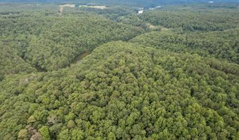 COUNTY ROAD 22, Arley, AL 35541