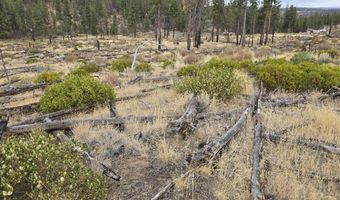 Partin Drive 19, Beatty, OR 97621