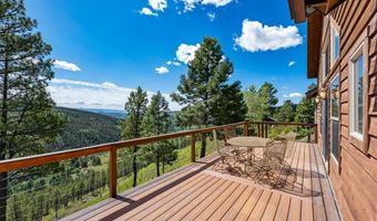 1292 Skyline Dr, Bayfield, CO 81122