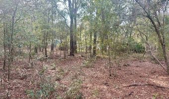 NW 11th Ave, Bell, FL 32619