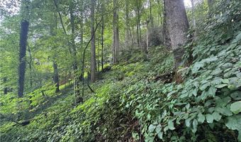 Tbd Clubhouse Drive, Banner Elk, NC 28604