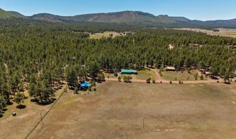 16 County Road 2089, Alpine, AZ 85920