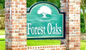 2043 Shady Oaks Dr, Baton Rouge, LA 70815