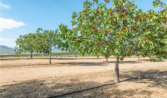 43175 Brownie St, Aguanga, CA 92536