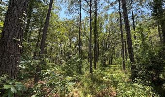 Mountain View Way, Bainbridge, GA 39819