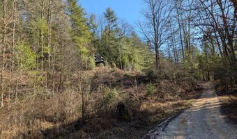 Tbd Deer Track Road, Beattyville, KY 41311