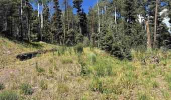 1435 Clarke Mountain Ln, Antonito, CO 81120