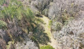000 Mt Pleasant Ln SE, Bogue Chitto, MS 39629