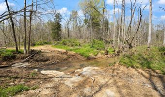 Martha Stockton Road, Albany, KY 42602