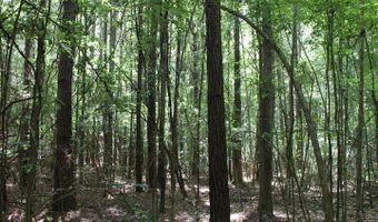 00 Pinola Braxton Rd, Braxton, MS 39044