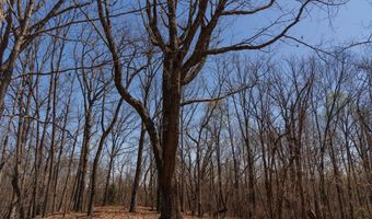 Soapstone Road, Baldwin, GA 30511