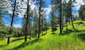 463 Hogue Dr, Bigfork, MT 59911