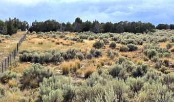 816 Hamilton Stage Rd, Elko, NV 89801