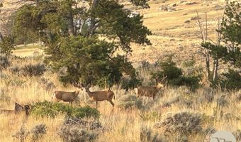 10 PRONGHORN Ln, Bridger, MT 59014