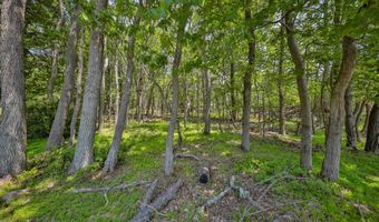 179 Chippewa Trl, Albrightsville, PA 18210