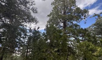 636 Mountain Center 35-0002, Mountain Center, CA 92561