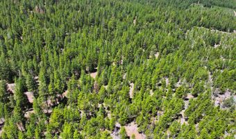 8193 Carlsberg Rd, Alturas, CA 96101