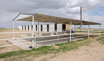755 PATCHES, Carpenter, WY 82054