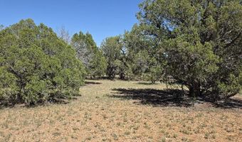 912 Westwood Rnch, Ash Fork, AZ 86320
